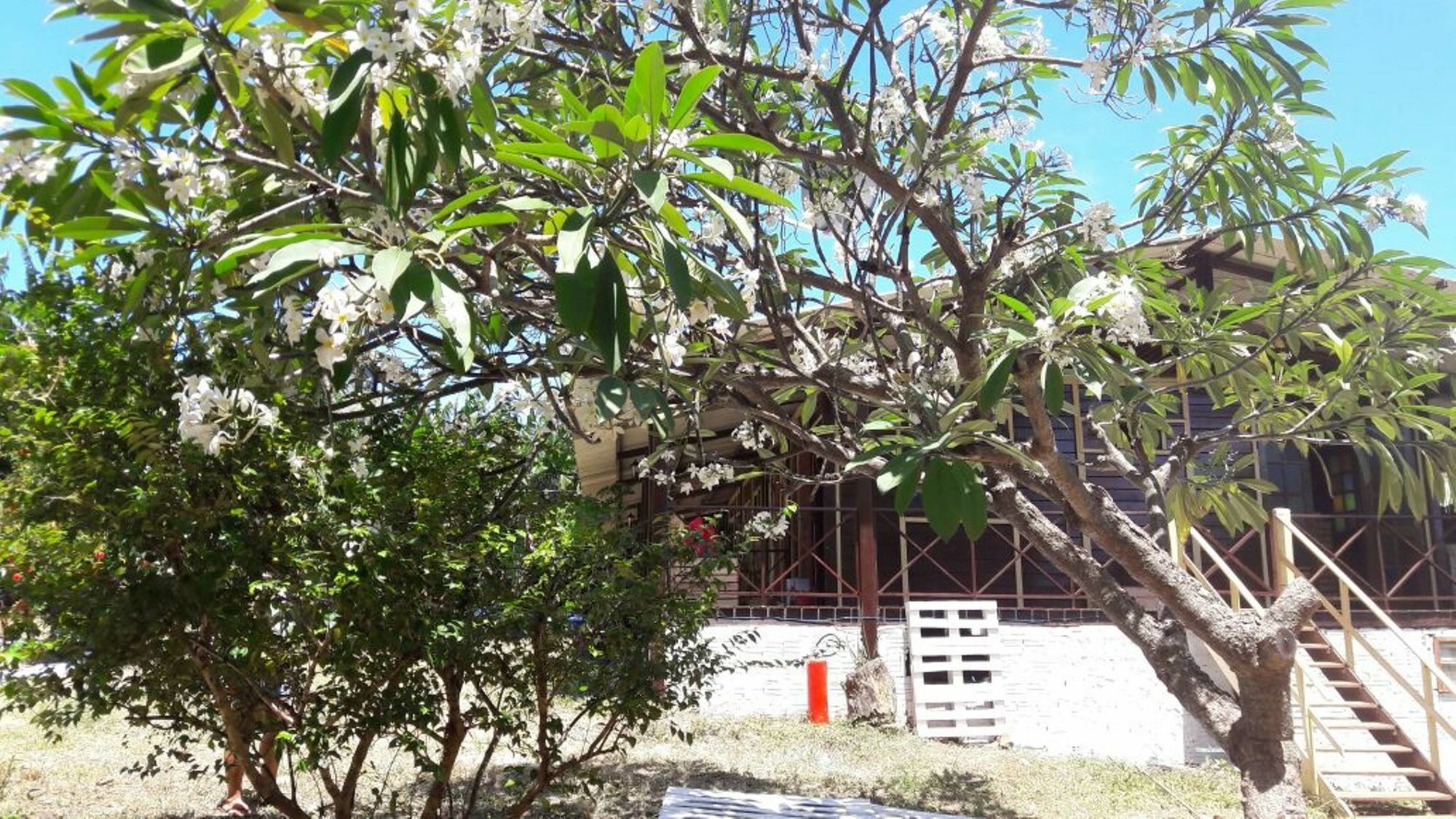 Pousada Boldro Home เฟอร์นันโด เด โนรอนญา ภายนอก รูปภาพ